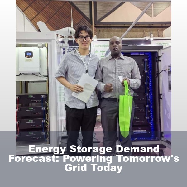 Energy Storage Demand Forecast: Powering Tomorrow's Grid Today